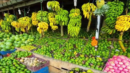 韓國農副產品的價格現狀