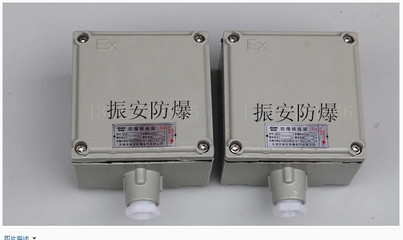 防爆接線箱 IIB與IIC級防爆接線箱詳解，以135X90電纜接線盒為例